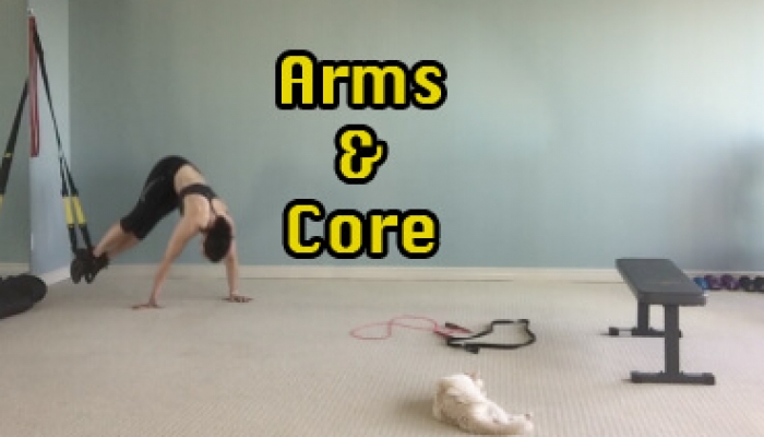 SS36: Arms & Core