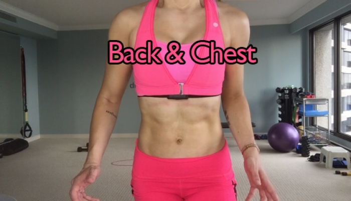 SS51: Back & Chest