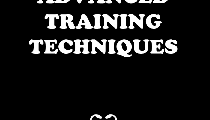 Advanced Training Techniques