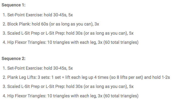 L-Sit Prep Workout